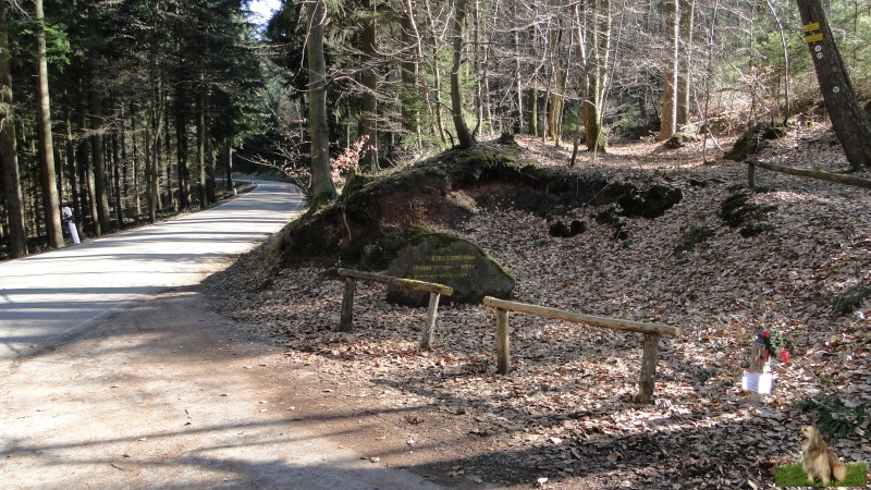 Ritterstein Nr. 246-6a Strassendamm - Strecke Speyer - Metz Römerzeit - Mittelalter.JPG - Ritterstein Nr.246 Strassendamm - Strecke Speyer - Metz Römerzeit - Mittelalter